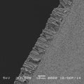 GVS 1222064 Poretics™, Filtration Membrane Polycarbonate Track Etched Hydrophilic 25mm 14.0 µm