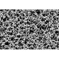 Sartorius 11305--50----ACN Nongridded Sterile Cellulose Membrane Filters, 0.65 um, 50 mm, 100/pk