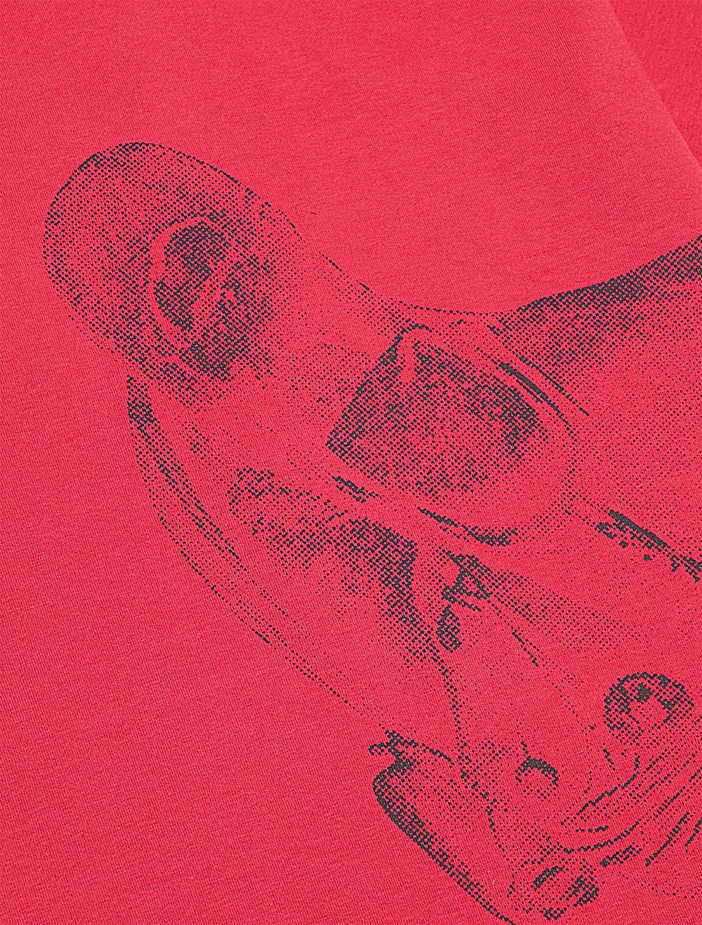 Valabasas Valley Visions Tee - Red