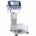 Ohaus I-D61PW12K1R6 Defender 6000 Washdown Bench Scale, 12500 g × 1 g, 12" x 12", NTEP