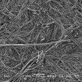 GVS 1214240 PolySep™, Filtration Membrane Polypropylene 90mm 0.22 µm