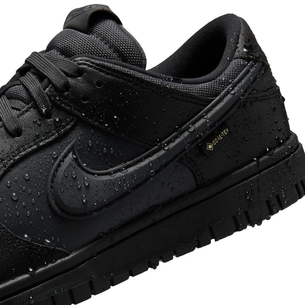 Nike Mens Dunk Low Gore-Tex - Black