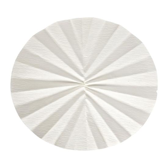 Ahlstrom 5050-3850 Pre-Pleated (Fluted) Filter Paper, Grade 505, 385 mm, 100/pk