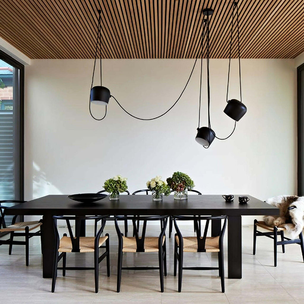 Aim Pendant Light