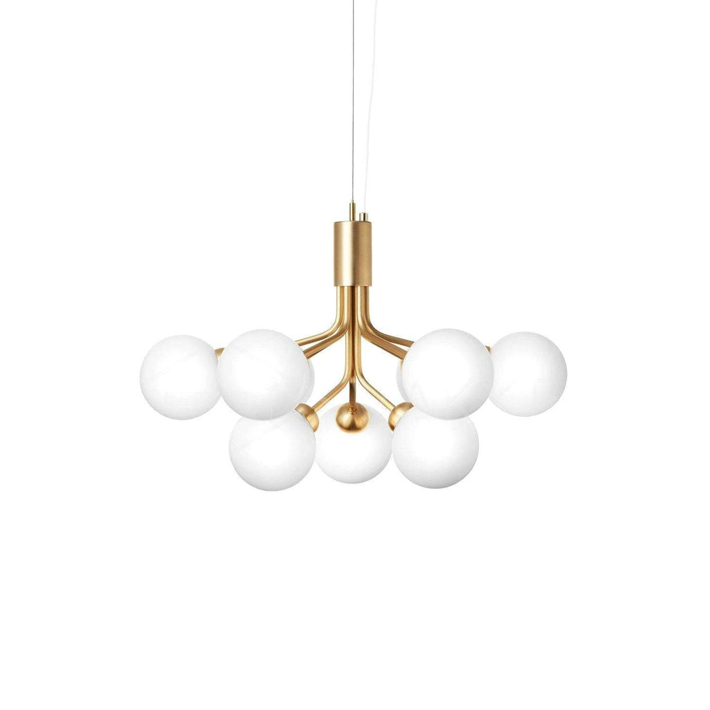 Apiales Chandelier
