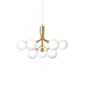 Apiales Chandelier