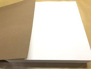 Whatman 989410105 Plus Qualitative Filter Papers, Grade 597, 185MM 100/PK
