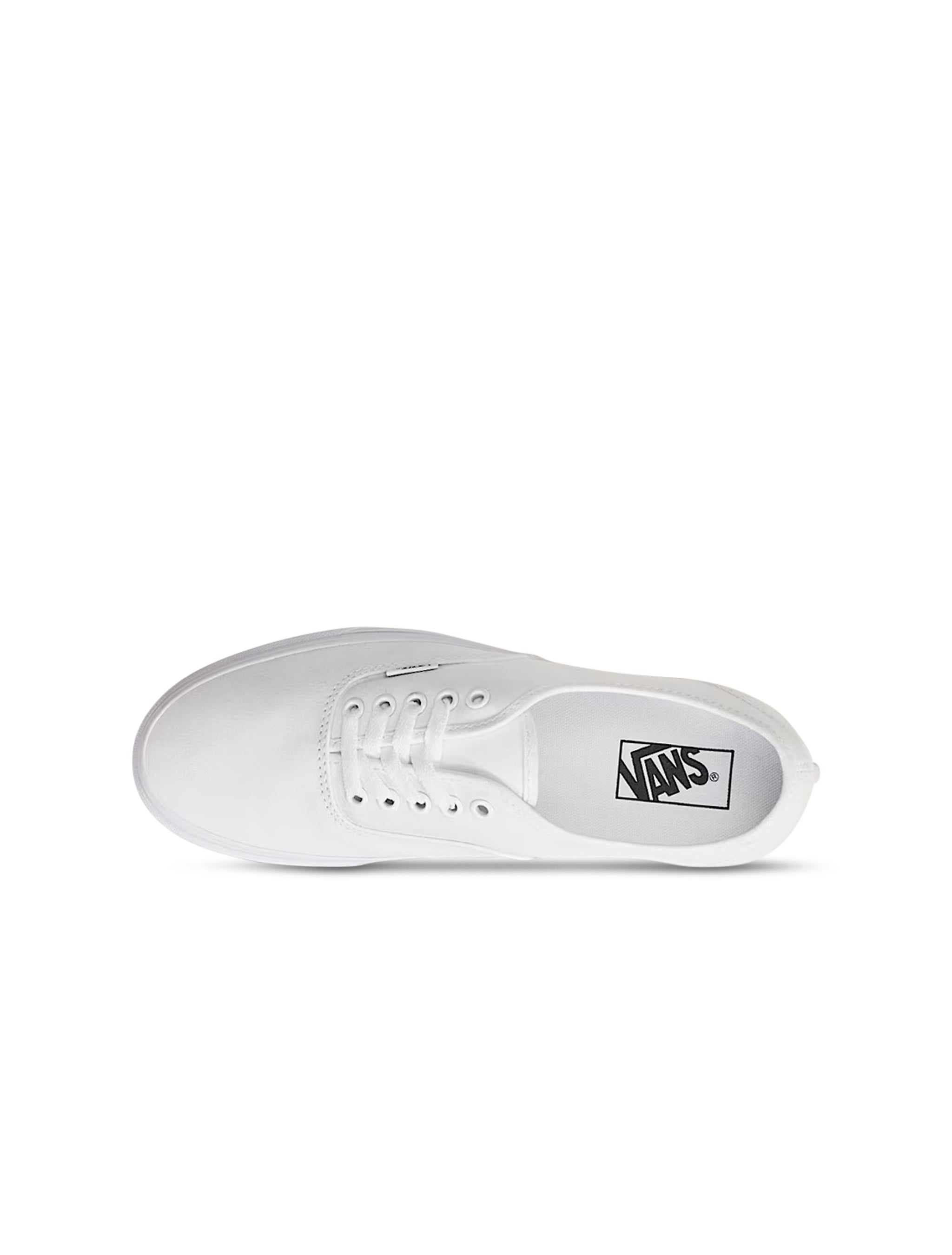 Vans Big Kids Authentic - True White