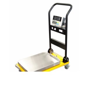 CAS CWP-300 Portable Digital Utility Scale