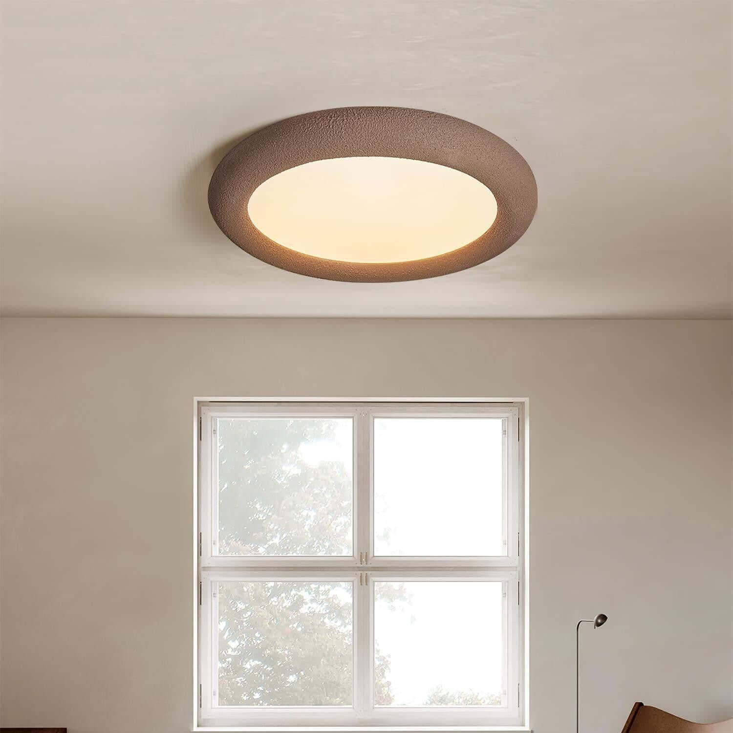 Concise Ceiling Light