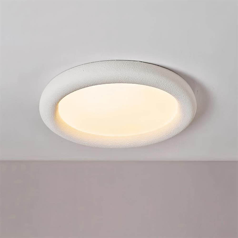 Concise Ceiling Light