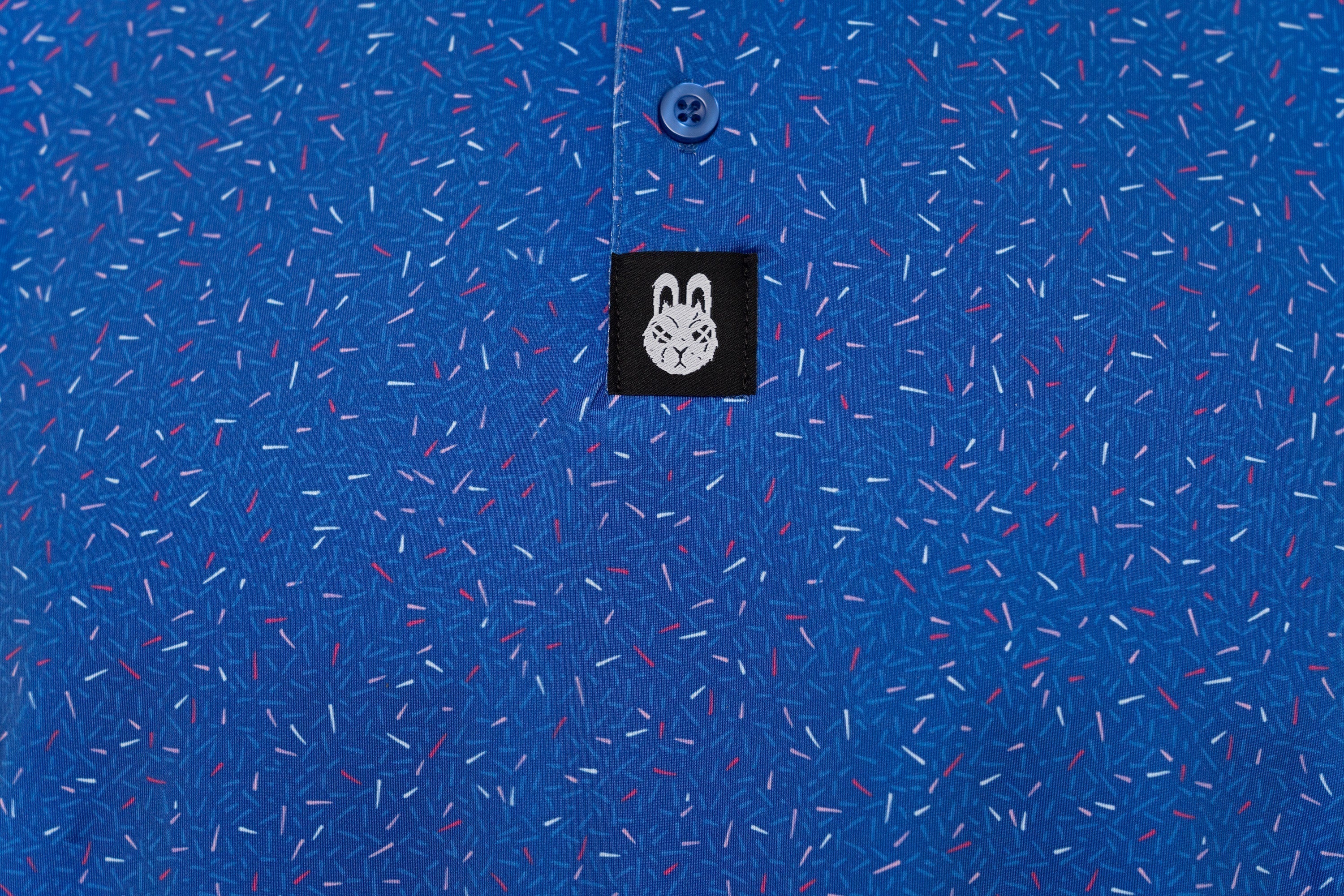 The Big Bang Polo