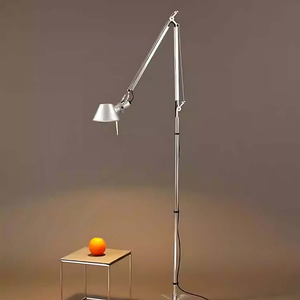 Deleila Floor Lamp