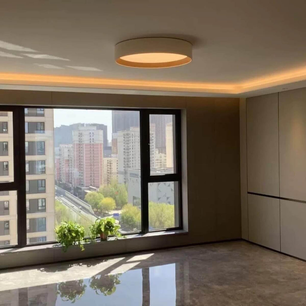 Duo Regular Ceiling Lamp