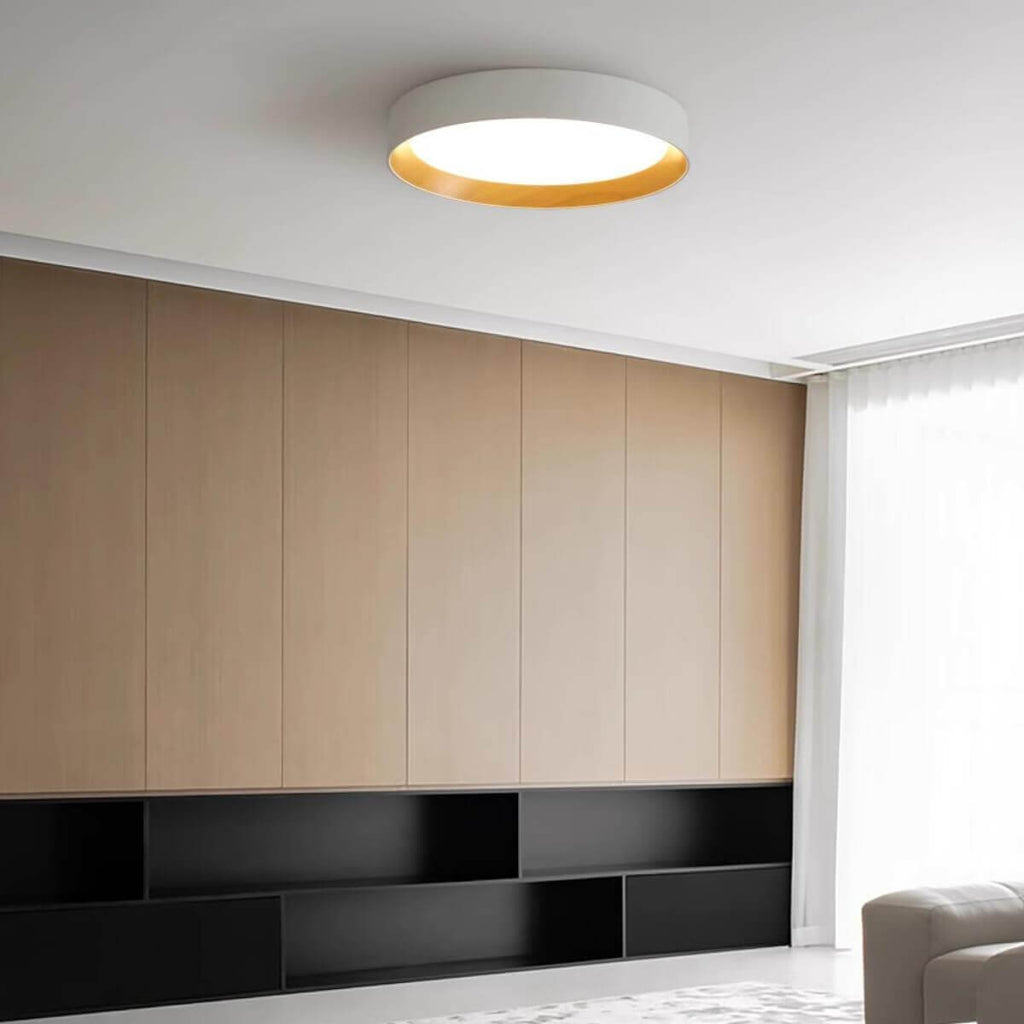 Duo Regular Ceiling Lamp