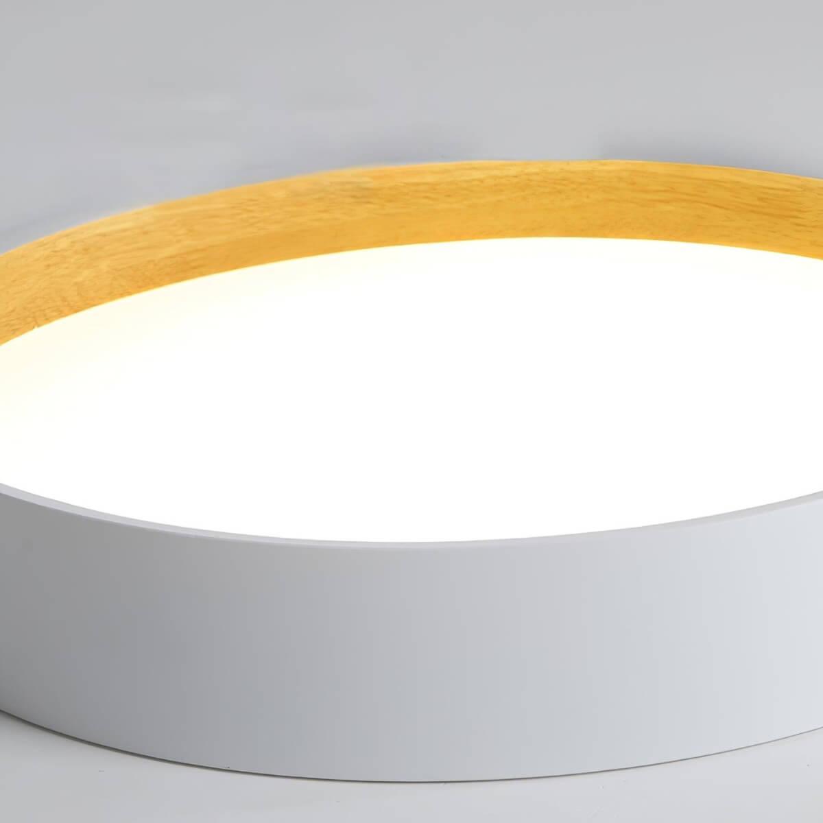 Duo Regular Ceiling Lamp