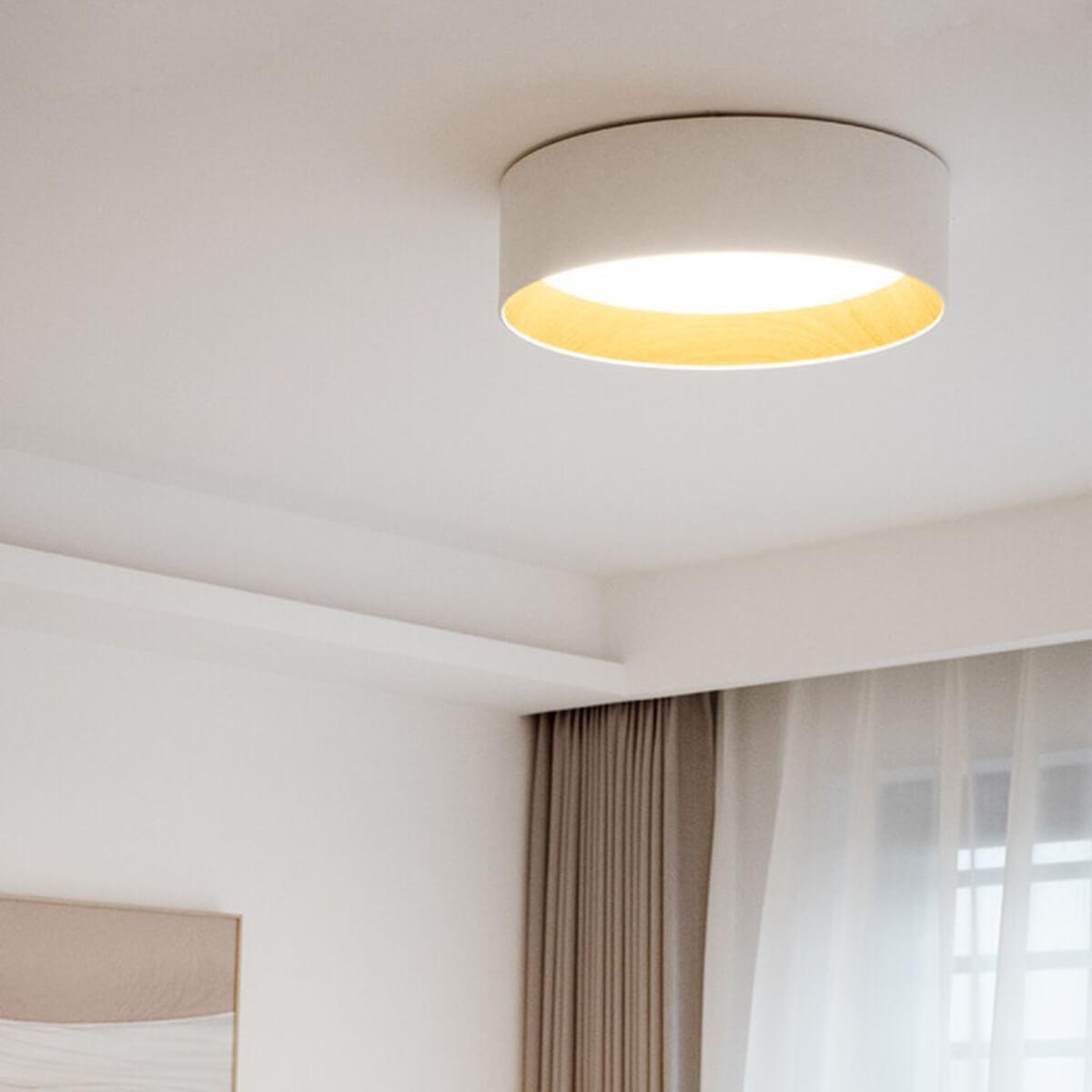 Duo Regular Ceiling Lamp