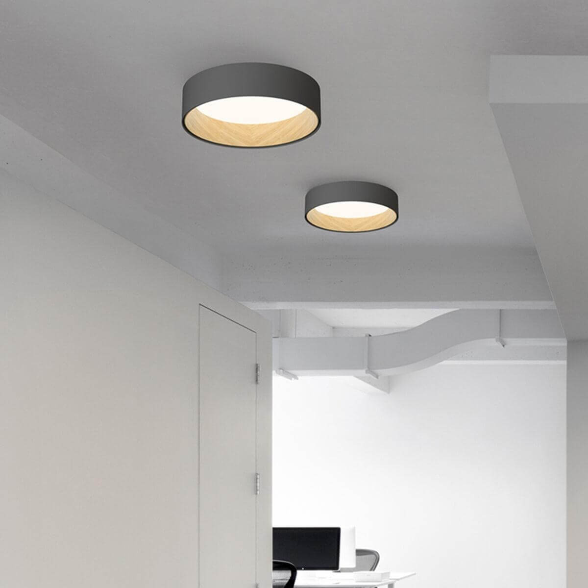 Duo Regular Ceiling Lamp