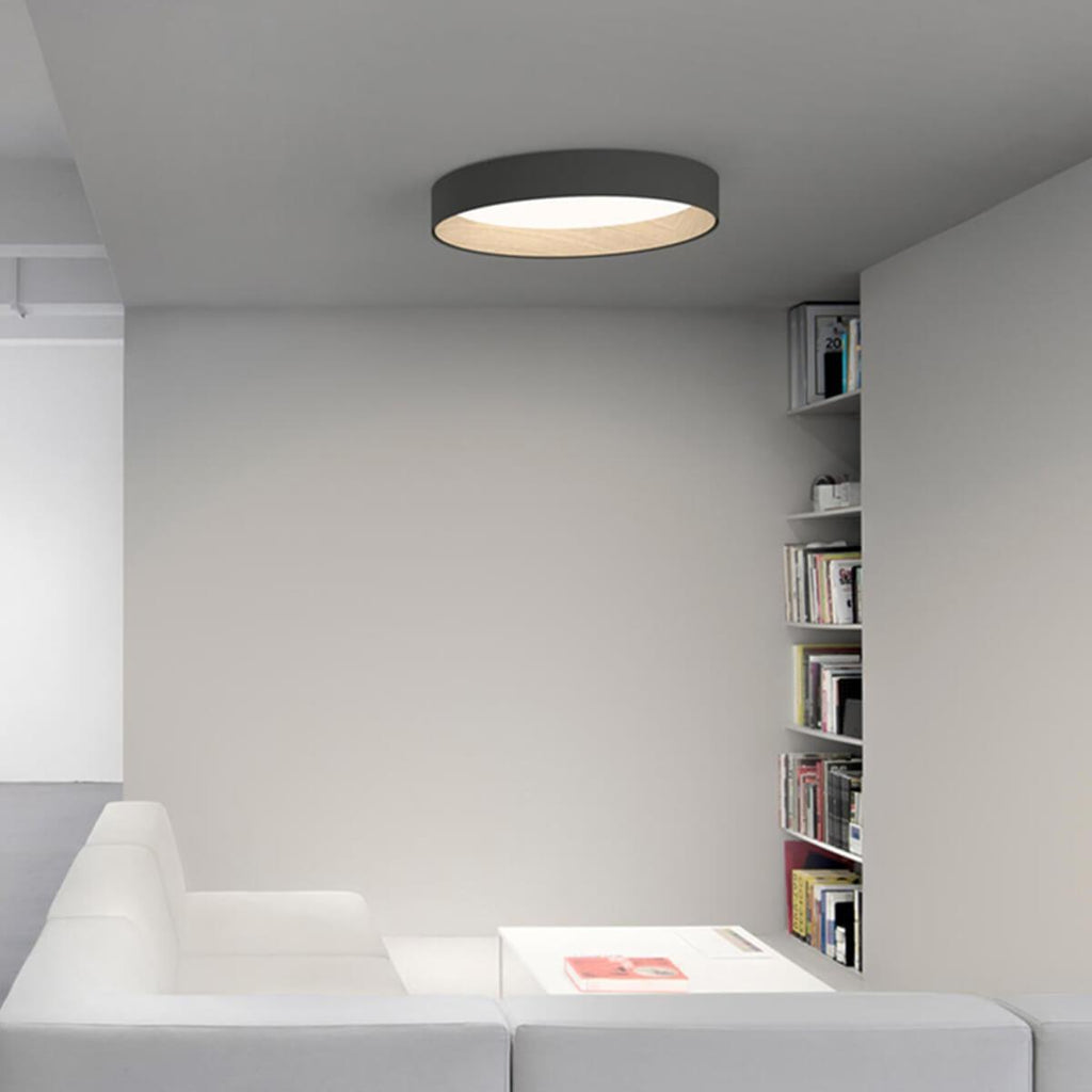 Duo Regular Ceiling Lamp