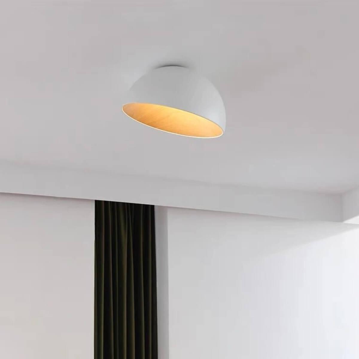 Duo Slanted Ceiling Lamp