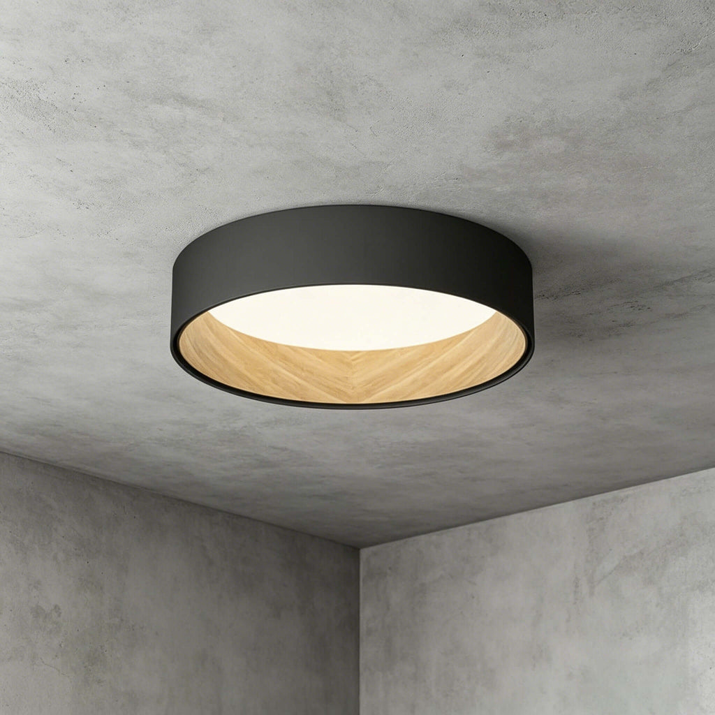 Duo Regular Ceiling Lamp