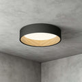 Duo Regular Ceiling Lamp