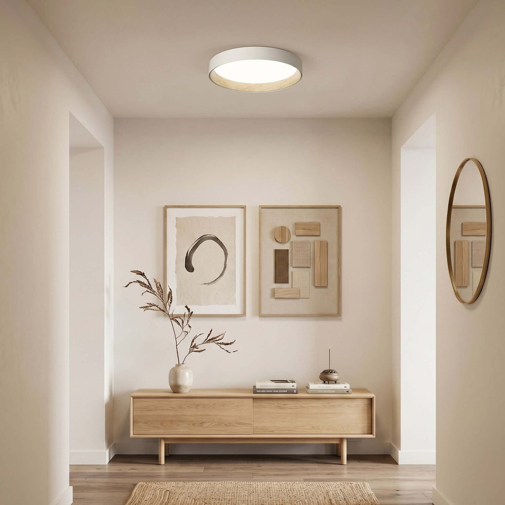 Duo Regular Ceiling Lamp