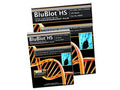 MTC Bio A8813 Autoradiography Film, 5x7in, 100 sheets/box