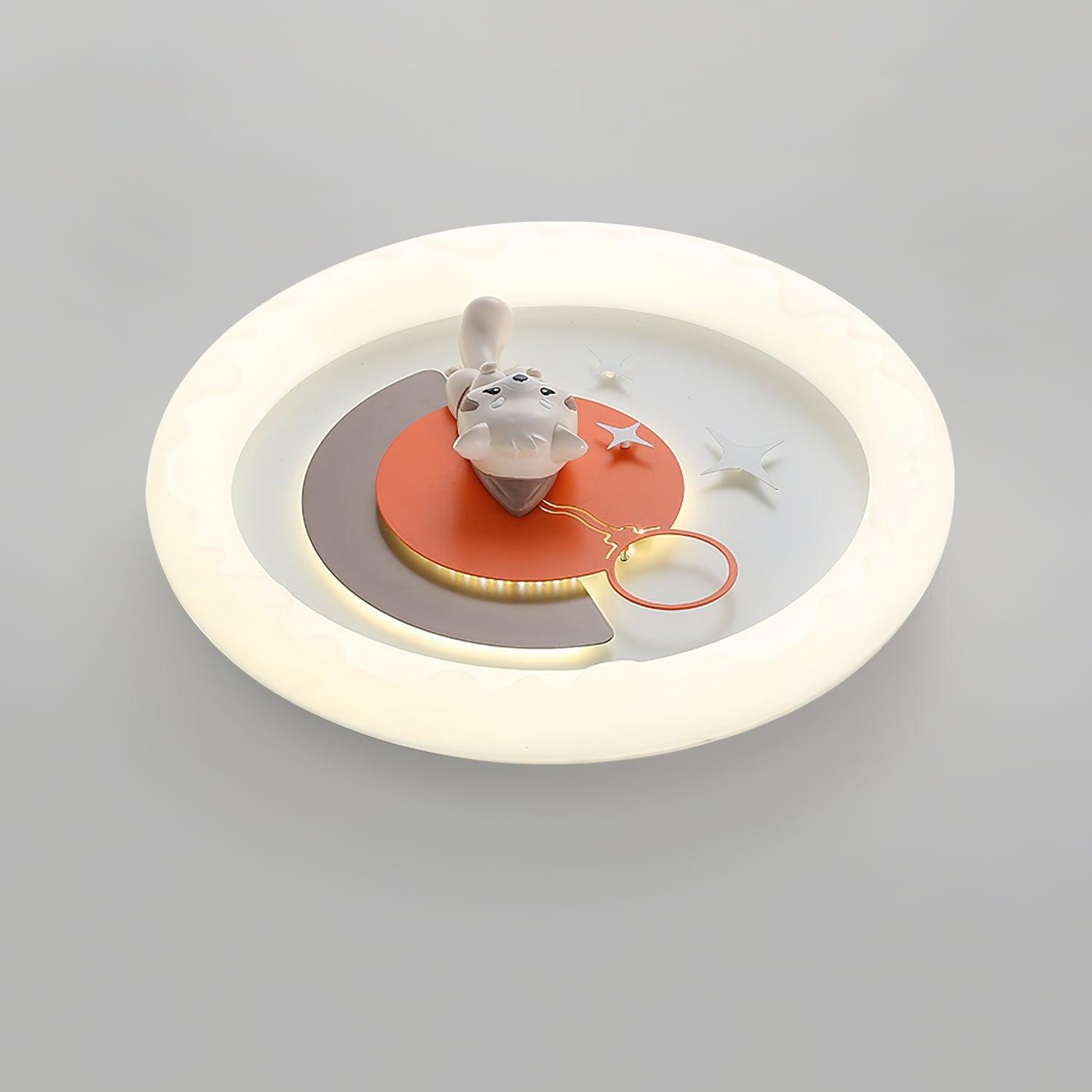 Fun Cartoon Ceiling Light