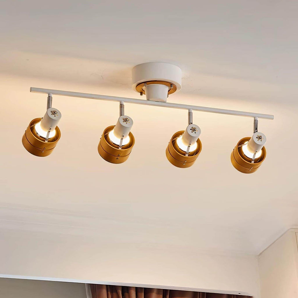 Hewes Track Lighting