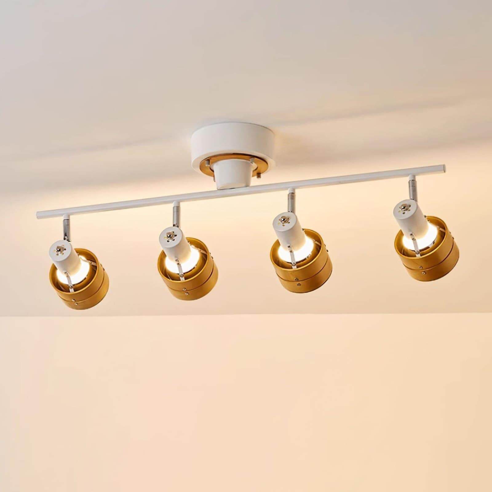 Hewes Track Lighting