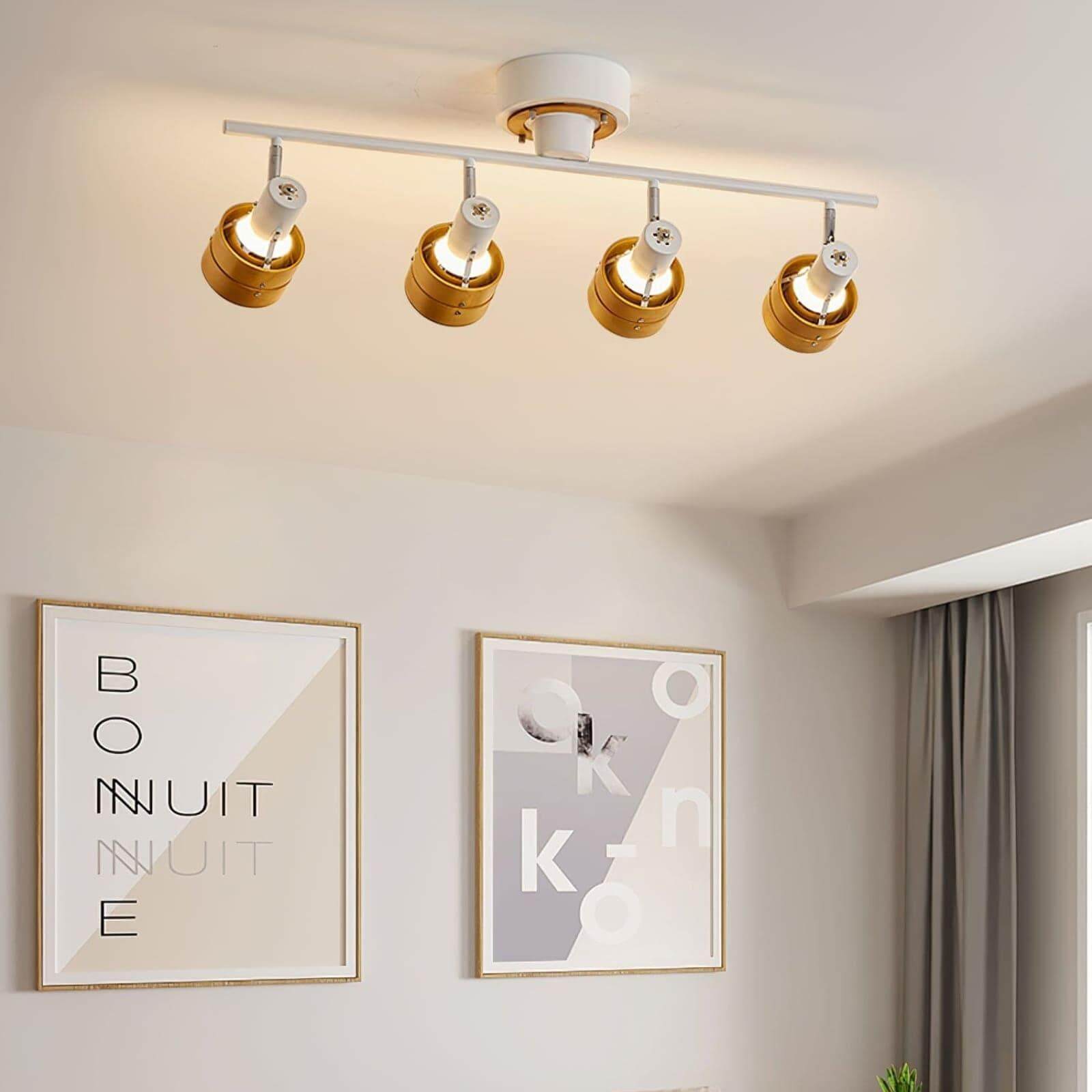 Hewes Track Lighting