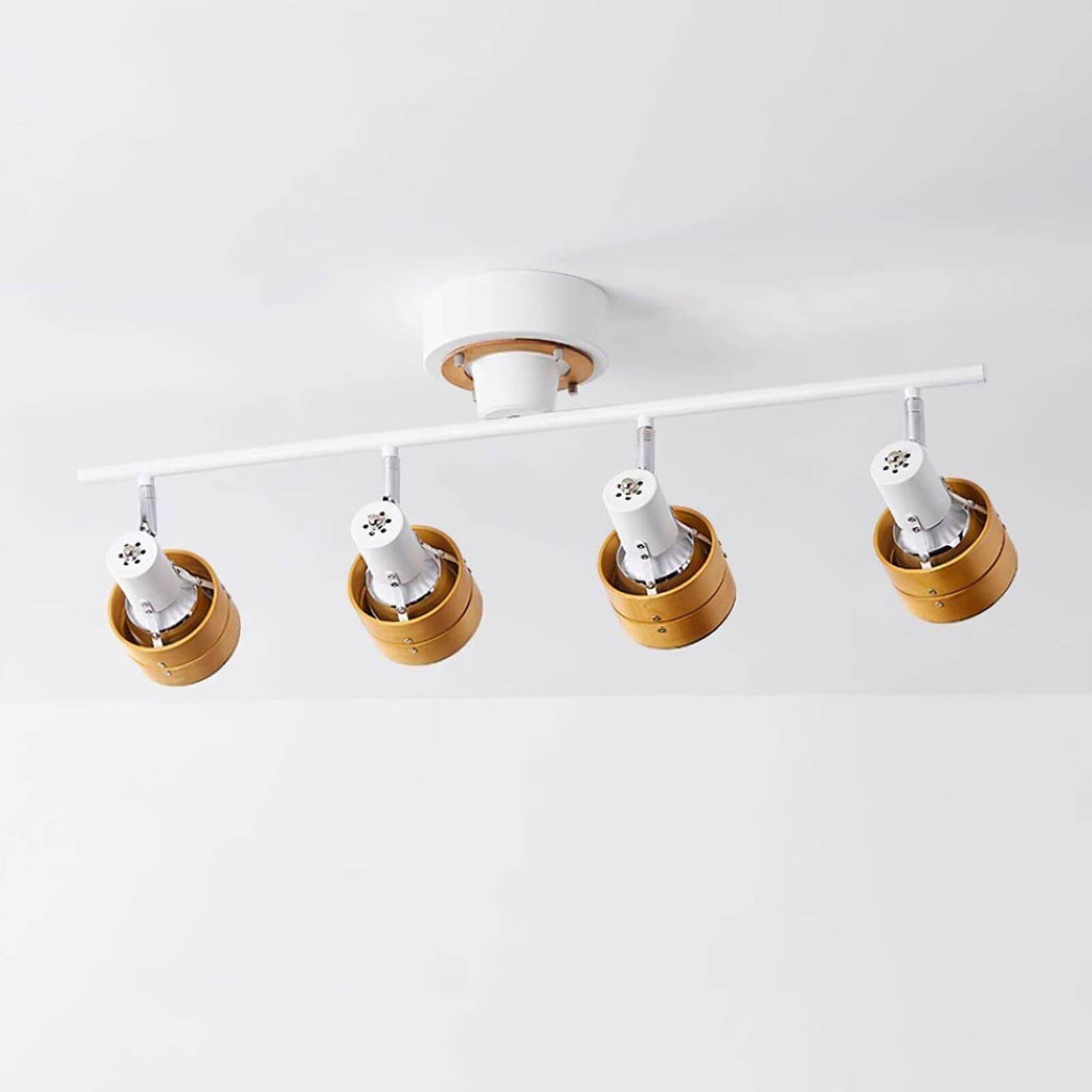 Hewes Track Lighting