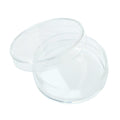 CELLTREAT 229635 35mm x 10mm Tissue Culture Treated Dish, Sterile (500/pk)