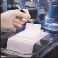 PALL 60336 Biodyne C Membrane, 0.45 µm, 20 cm x 3 m roll, 1/pkg