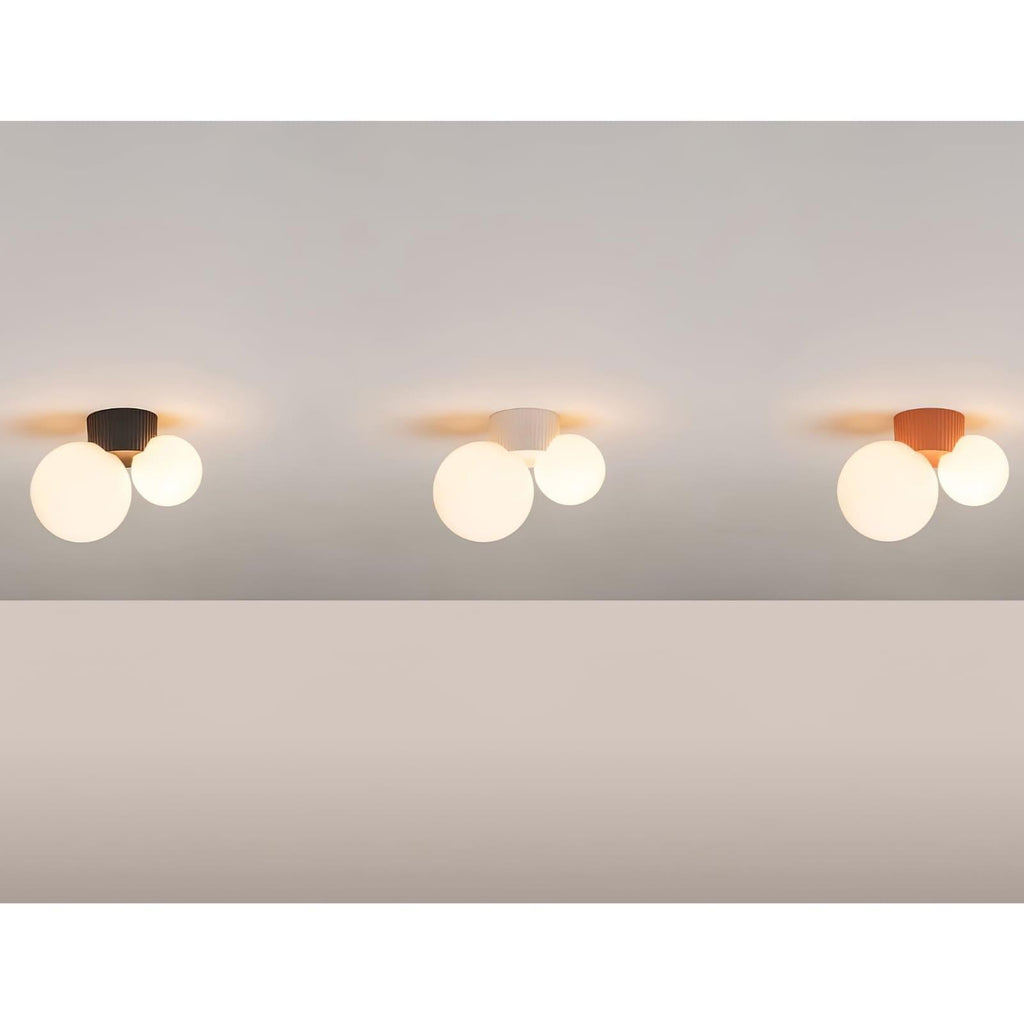 Land Ceiling Light