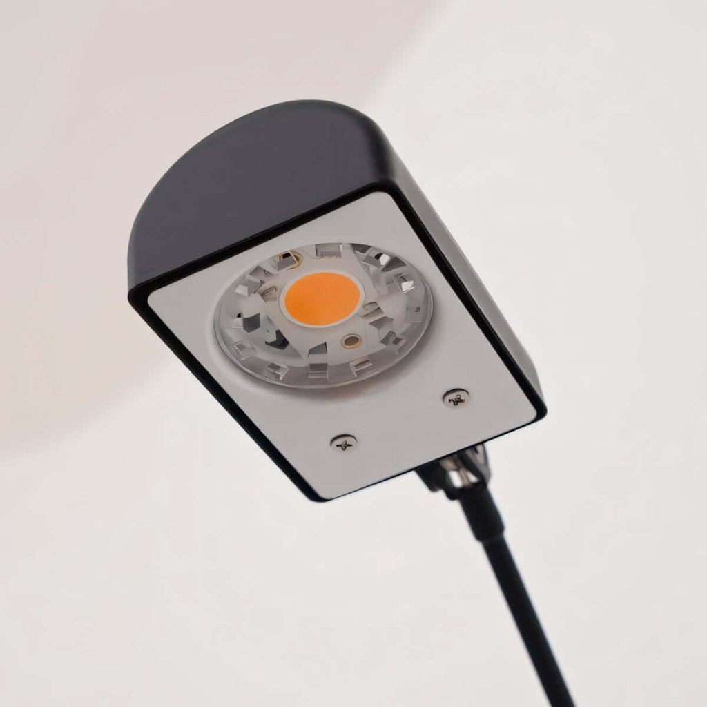 Lomire Floor Lamp