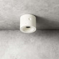 Dalmor Ceiling Light