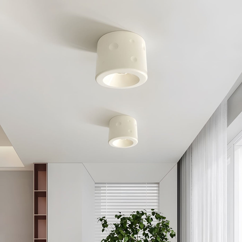 Dalmor Ceiling Light
