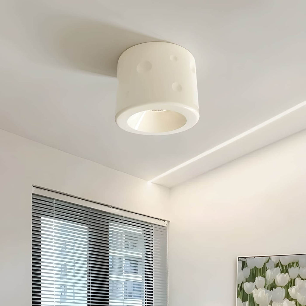 Dalmor Ceiling Light