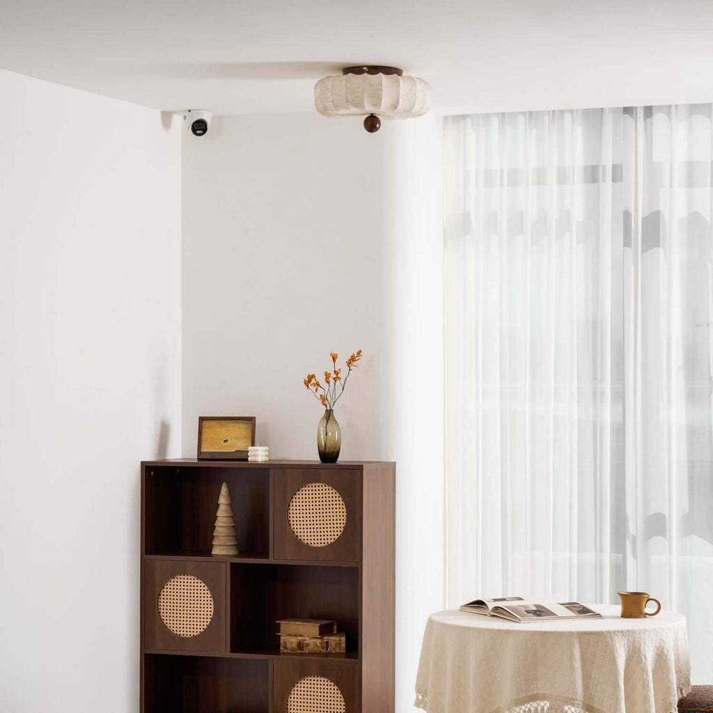 Luneya Ceiling Light
