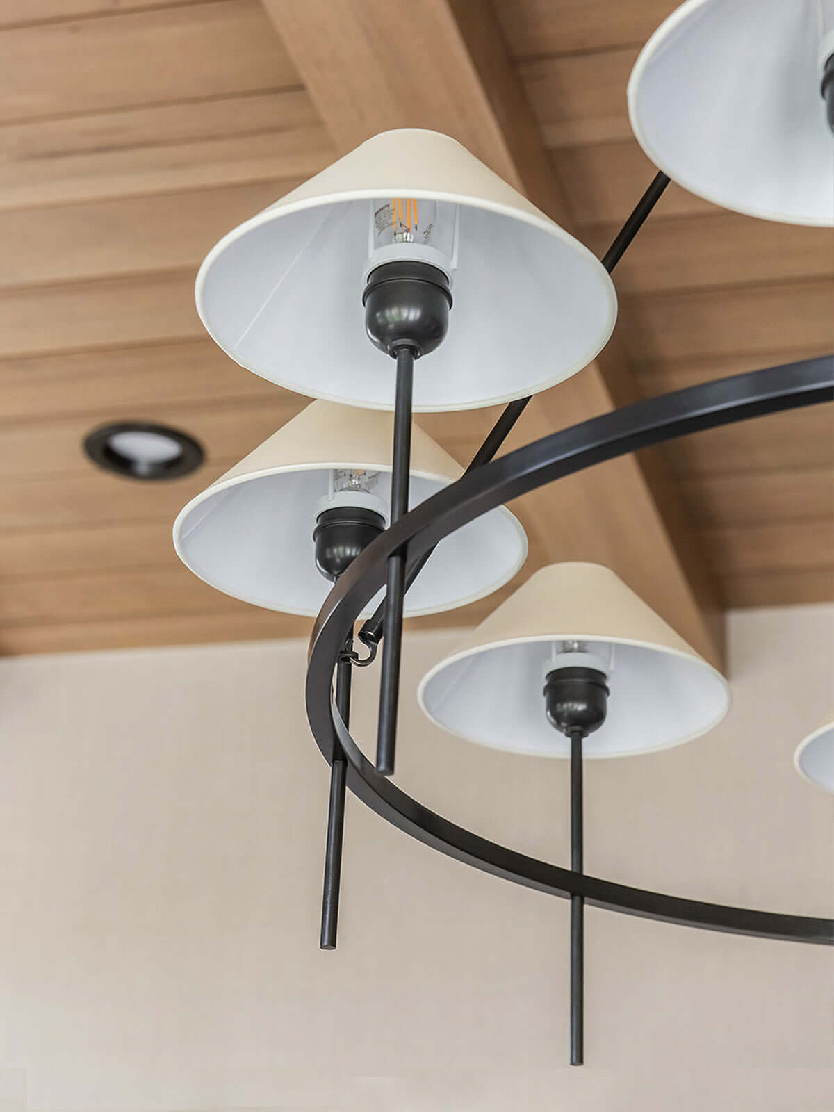 Luntra Chandelier