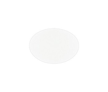 GVS 1221720 Membrane Disc 293mm, PCTE Hydrophilic, 8µm, 20pk