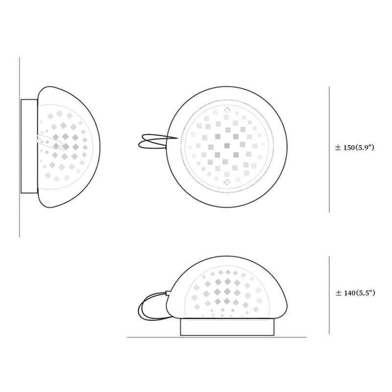 Mesh Glass Wall Sconce