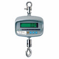 CAS NC1-250 Crane Scale, 250 lb X 0.1 lb, NTEP CLASS III