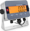 Ohaus i-DT33XW Digital Washdown Indicator, NTEP