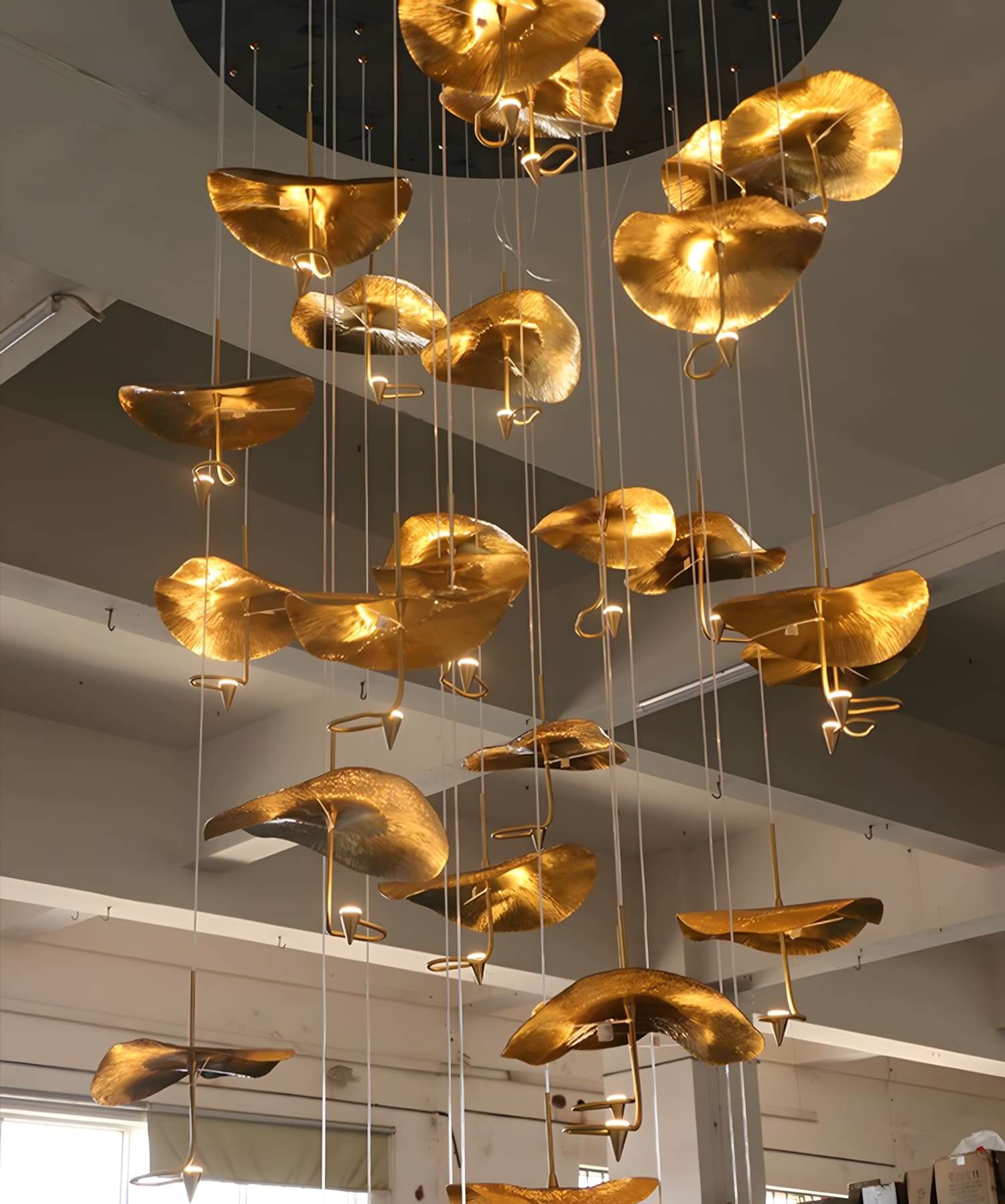 Orlia Chandelier