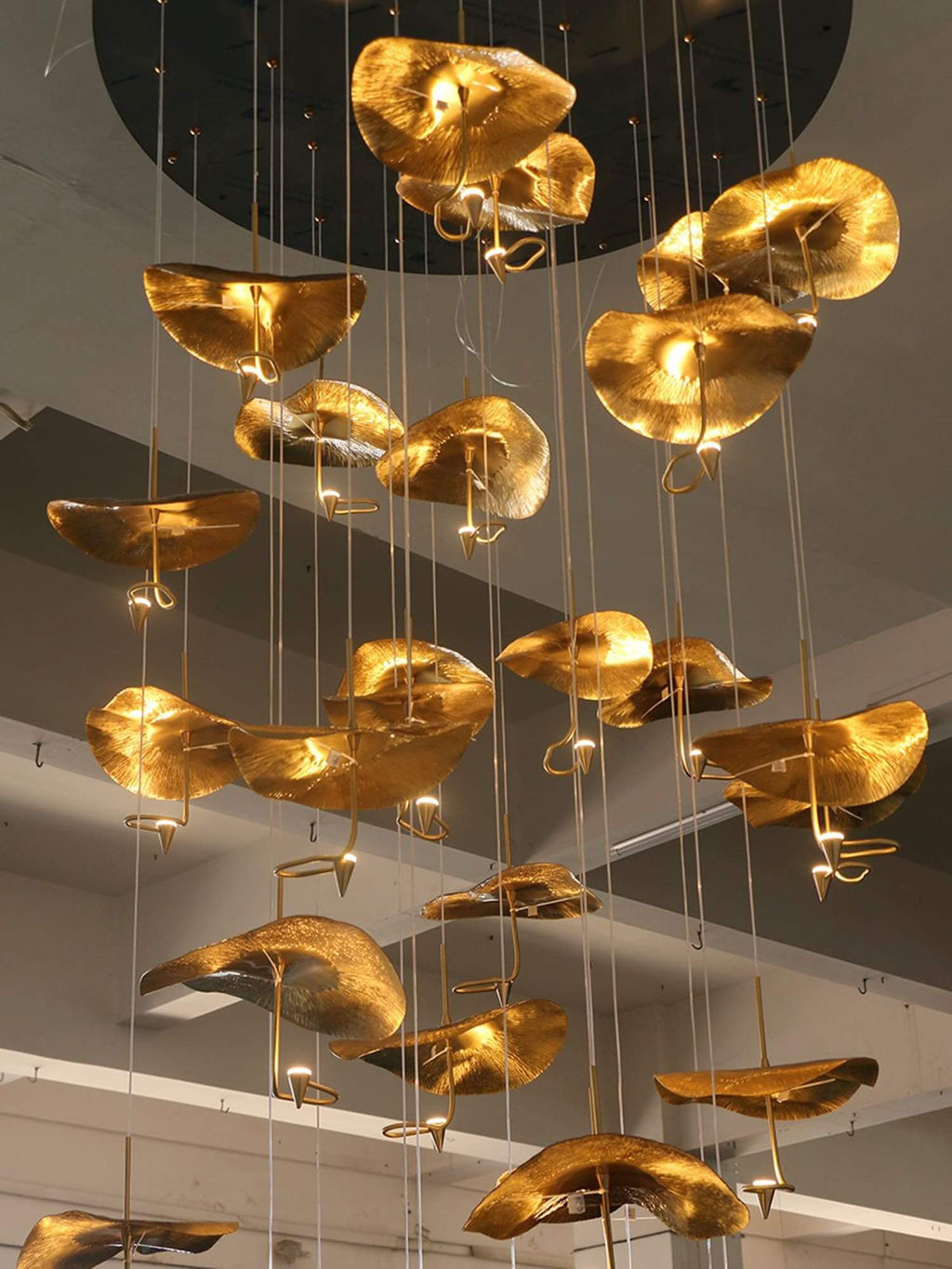 Orlia Chandelier
