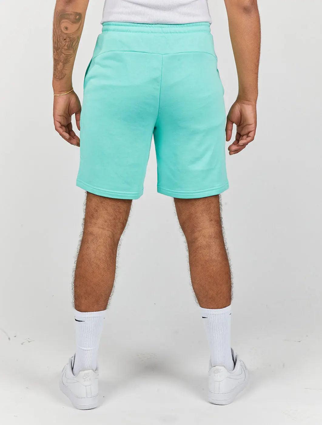 Puma Mercedes-Amg Petronas Essentials Shorts