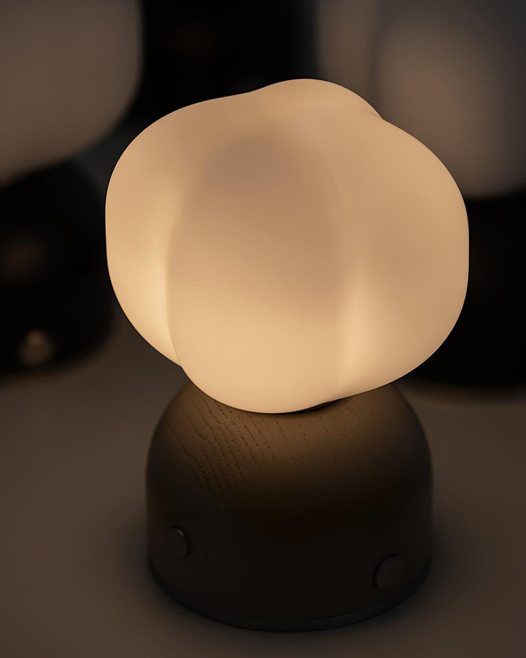Luna Portable Table Lamp